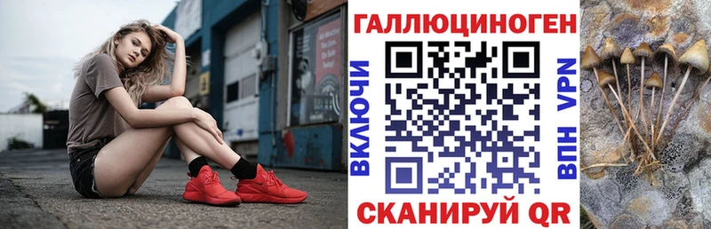 Галлюциногенные грибы мухоморы  Купить где  Краснознаменск 